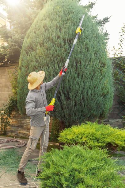 Best Pest Control for Lawns  in Rocky Point, WA